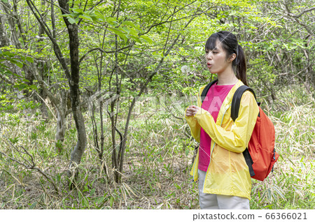 Woman blowing fluff of dandelion in the mountains Woman blowing fluff of dandelion in the mountains 66366021