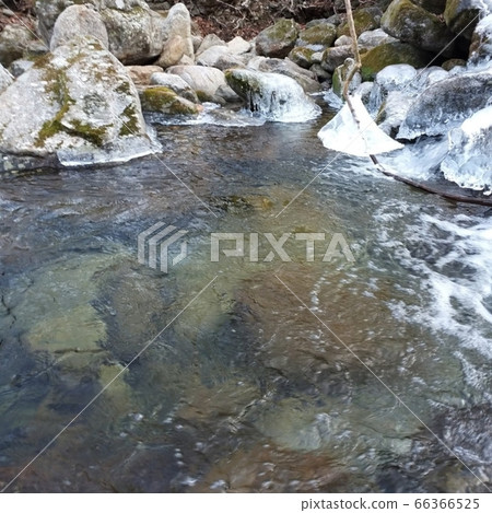 森林山谷裡有涼爽、乾淨的水。 森林山谷裡有涼爽、乾淨的水。 66366525