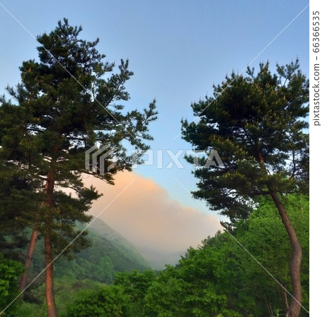 擁抱太陽的雲朵正向屋子走去，那裡已經有秋葉在等待了。 66366535