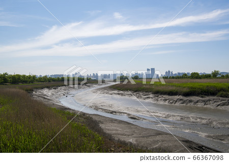 京畿道始興市始興潮汐生態園 京畿道始興市始興潮汐生態園 66367098