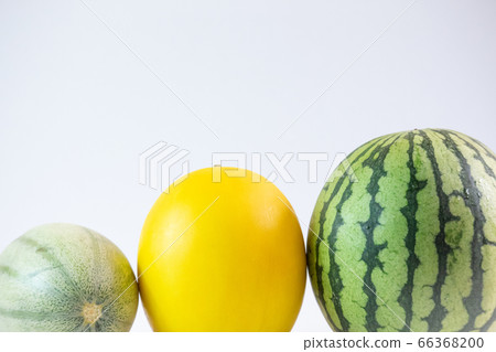 1類葫蘆科 1類葫蘆科 66368200