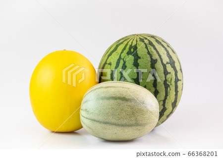 2類葫蘆科 2類葫蘆科 66368201