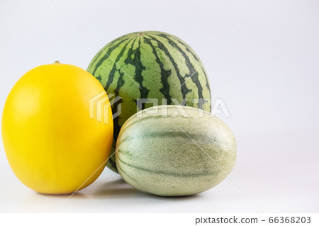葫蘆科的類型 66368203