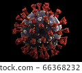 CG image of new coronavirus (single unit) 66368232