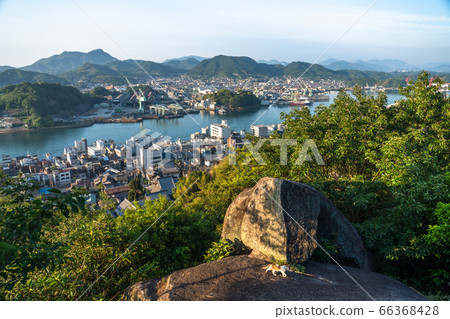 <<Hiroshima Prefecture>> The scenery of Onomichi in the early morning 66368428