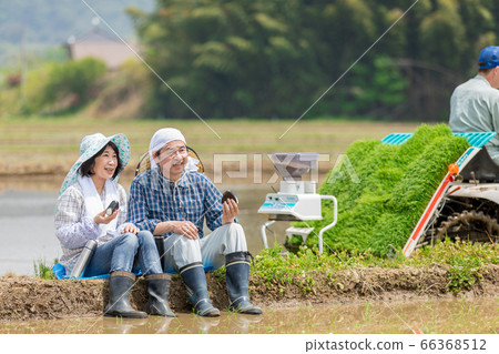 一對農民夫婦在稻田之間的路上吃午餐 一對農民夫婦在稻田之間的路上吃午餐 66368512