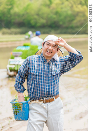 種植水稻的人 66368528