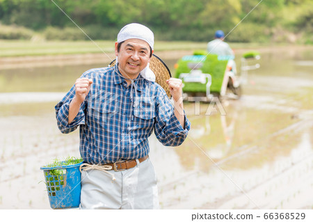 種植水稻的人 66368529