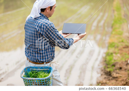 平板電腦管理的智能農業（解決方案創新者） 66368540