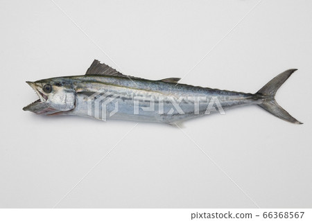 吸管50cm 吸管50cm 66368567