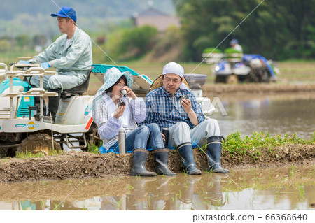 一對農民夫婦在稻田之間的路上吃午餐 一對農民夫婦在稻田之間的路上吃午餐 66368640