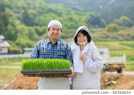 農民夫婦做飯 66368644