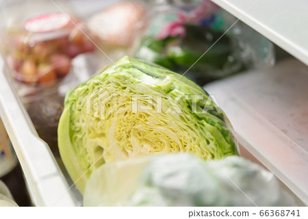 剖切 甘藍 包菜 66368741