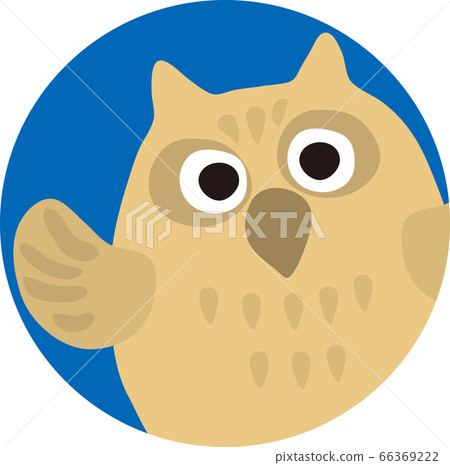 owl owl 66369222