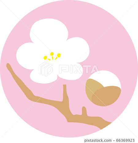 梅花圖標 梅花圖標 66369923