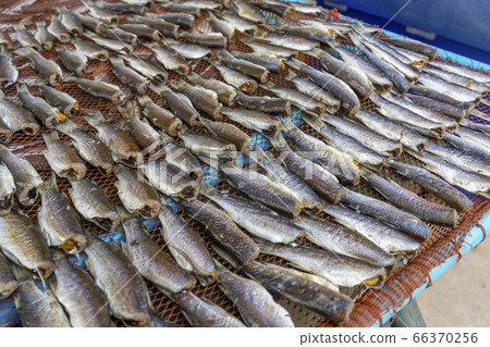 Sun dried fishes meat for cooking food Sun dried fishes meat for cooking food 66370256