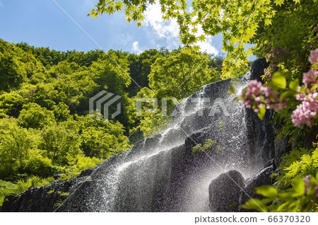 秋田縣由利本莊市的瀑布，鮮花，藍天和綠地[五月] 66370320
