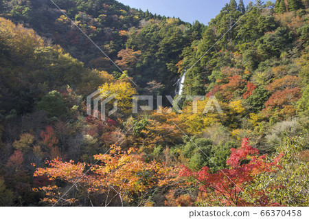 八代市泉町三泉十度瀑布 66370458