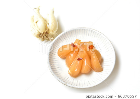 Rakkyo pickled in black vinegar 66370557