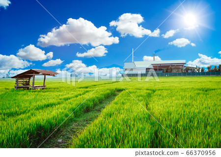 Green factory plant environment friendly processes living with clean air green rice field. Green factory plant environment friendly processes living with clean air green rice field. 66370956