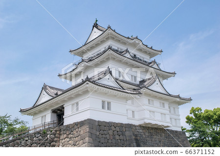 The castle tower of Odawara Castle, Kanagawa Prefecture 66371152