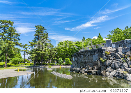 [神奈川縣]相模大野中央公園，擁有美麗的新鮮綠色植物 66371307