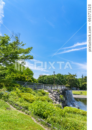 [神奈川縣]相模大野中央公園，擁有美麗的新鮮綠色植物 66371328
