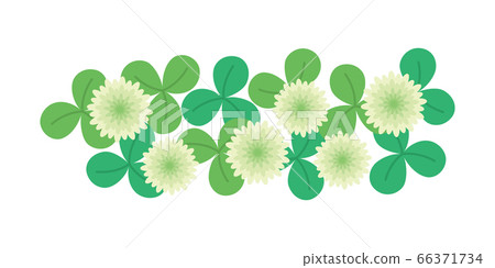 三葉草,白三葉草,白爪草的插圖 三葉草,白三葉草,白爪草的插圖 66371734