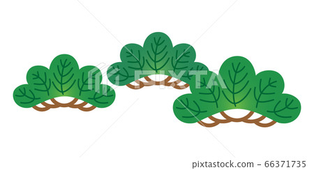 松樹松樹松樹樹圖 松樹松樹松樹樹圖 66371735