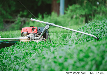 茶葉收穫機茶葉採摘機理髮器 66372302