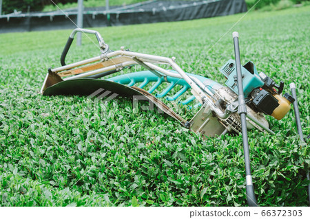 茶葉收穫機茶葉採摘機理髮器 66372303