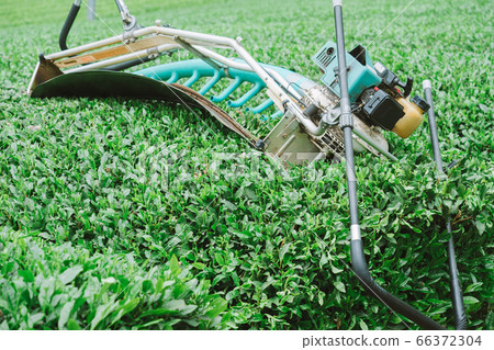 茶葉收穫機茶葉採摘機理髮器 66372304