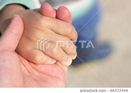 親子手 親子手 66372449