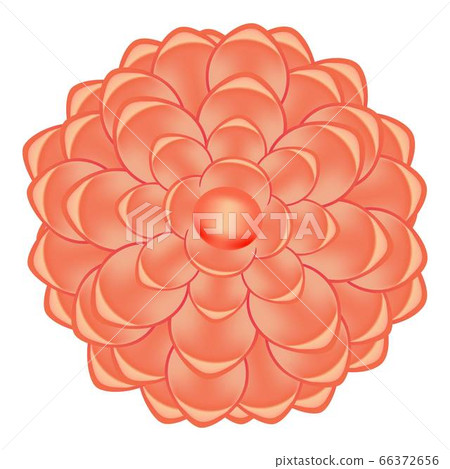 Spring red camellia icon, cartoon style 66372656