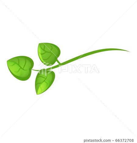 Camellia green branch icon, cartoon style 66372708
