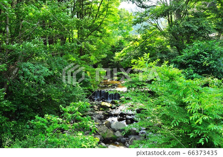 Hyuga, Hyuse Valley (Hyuga River) and fresh greenery in Isehara Hyuga, Hyuse Valley (Hyuga River) and fresh greenery in Isehara 66373435
