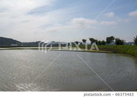 Hojobeol, Siheung-si, Gyeonggi-do Hojobeol, Siheung-si, Gyeonggi-do 66373483