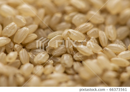 Brown rice close-up [Background/Background] 66373561