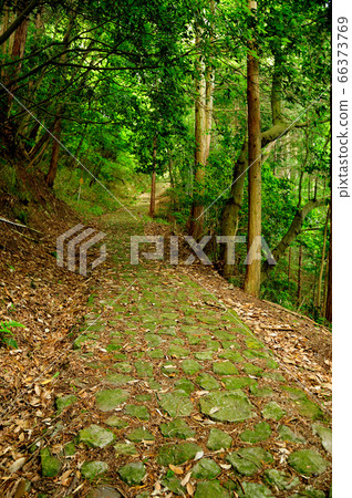 The stone pavement leading to Houtokuji, the temple of the Yagyu family The stone pavement leading to Houtokuji, the temple of the Yagyu family 66373769