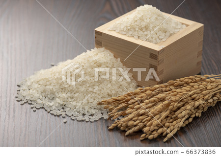White rice White rice 66373836