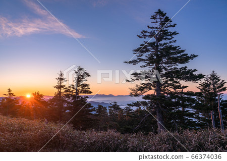 《Gunma Prefecture》Shibutoge/Sunrise in early summer 66374036