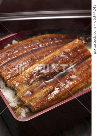 用鰻魚製成的鰻魚燒酒 66374243