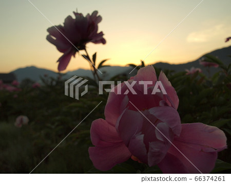 白馬村的早晨 白馬村的早晨 66374261
