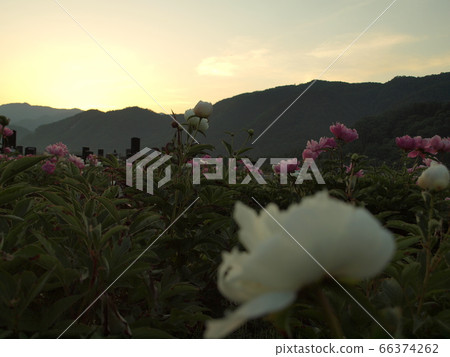 白馬村的早晨 66374262