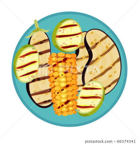 Grilled Food with Vegetable Slices Rested on Plate Vector Illustration 66374341