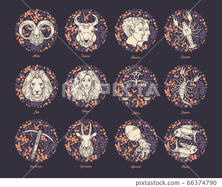 Vector set of zodiac signs. Zodiac constellations. Astrological horoscope. Vector set of zodiac signs. Zodiac constellations. Astrological horoscope. 66374790