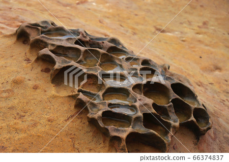 野柳蜂窩岩地形 66374837