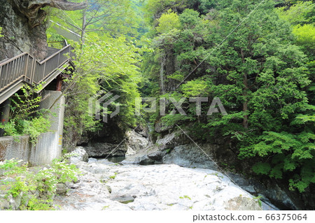 Mitarai Valley / Mitarai Valley Walking Course [Tenkawa Village, Nara Prefecture] 66375064