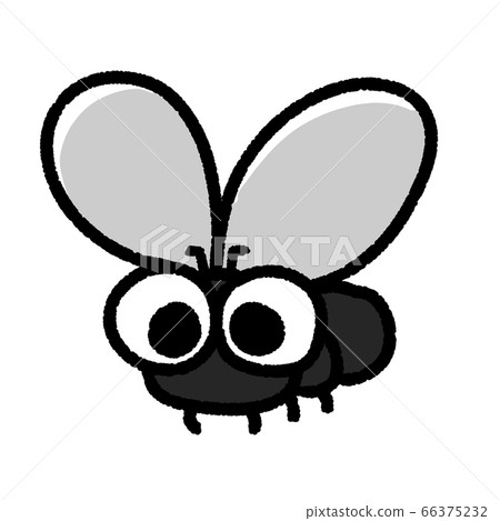 可愛的蒼蠅飛 可愛的蒼蠅飛 66375232