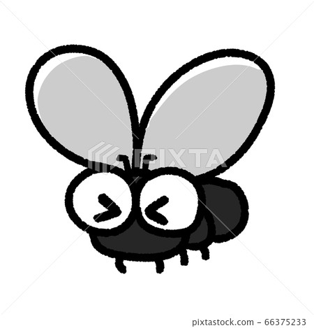 可愛的蒼蠅飛走了 66375233